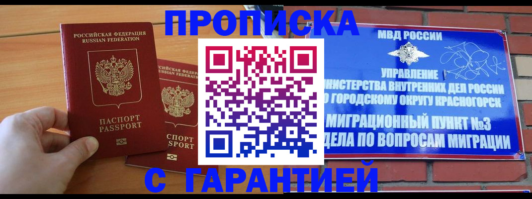 прописка в Димитровграде